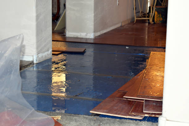 Professional Basement Flood Cleanup technician working in Bates City, MO